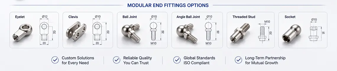custom stainless steel gas spring a2